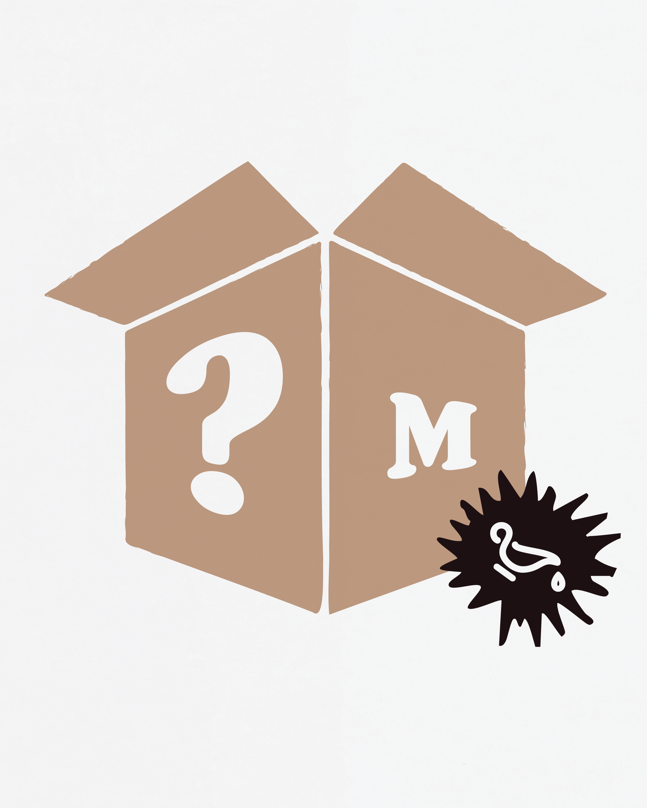 Mystery Box - Medium